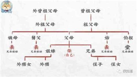 表 堂 怎麼分|親戚稱謂中的表和堂該怎麼區分？